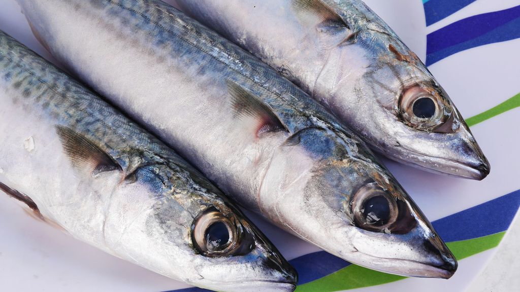 Supermarkten stoppen verkoop Atlantische makreel om overbevissing