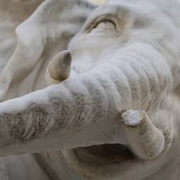 Slagtand van iconisch olifantenbeeld uit 1667 afgebroken in Rome