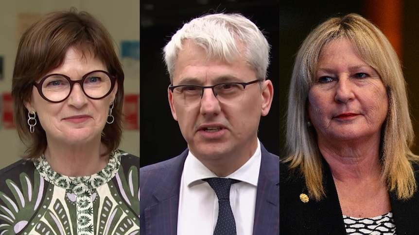 Health minister and veteran MPs step down before Victorian state election