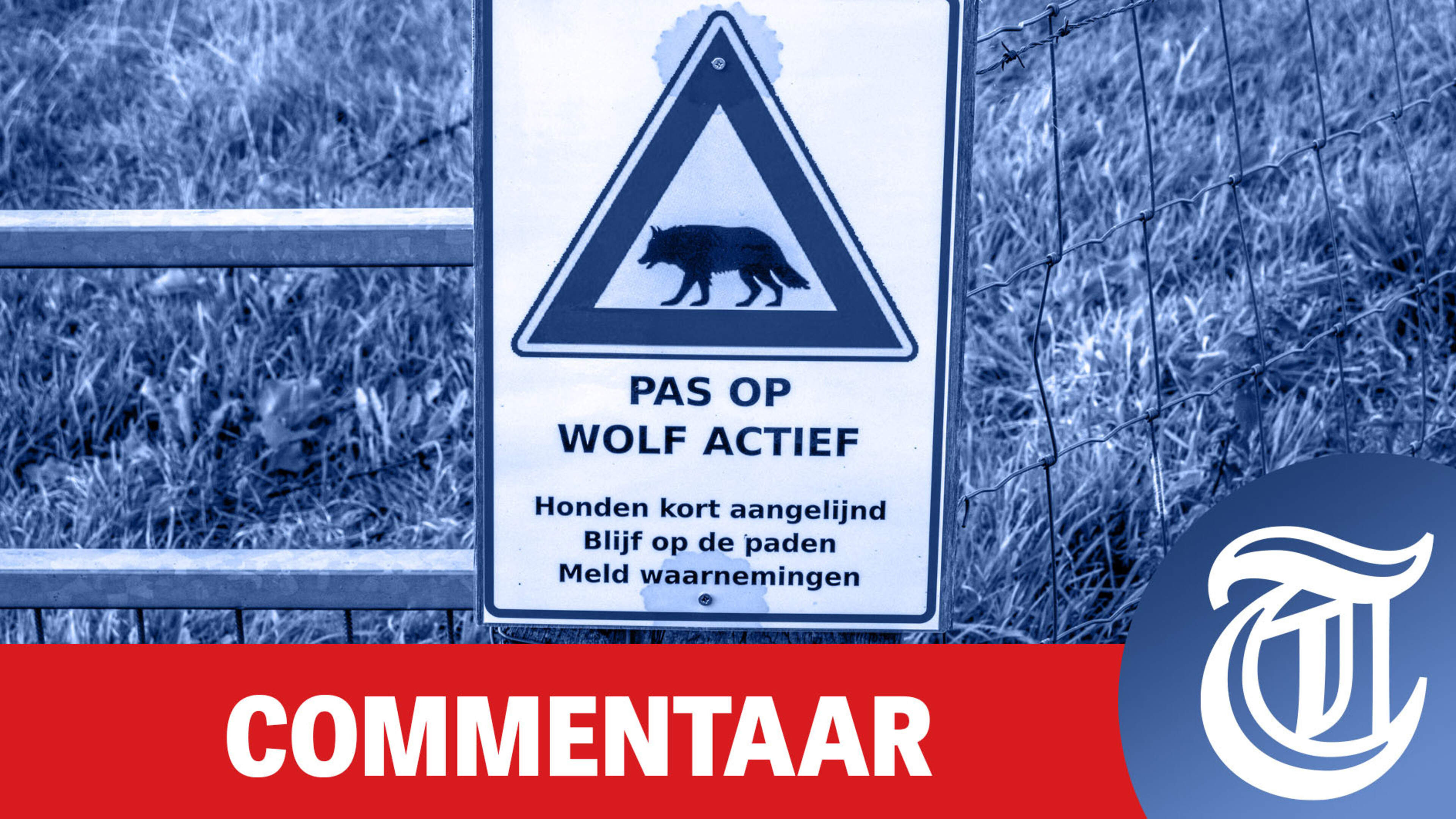 Gevolgen plaag van wolven zijn vergelijkbaar met ellende rond stikstof
