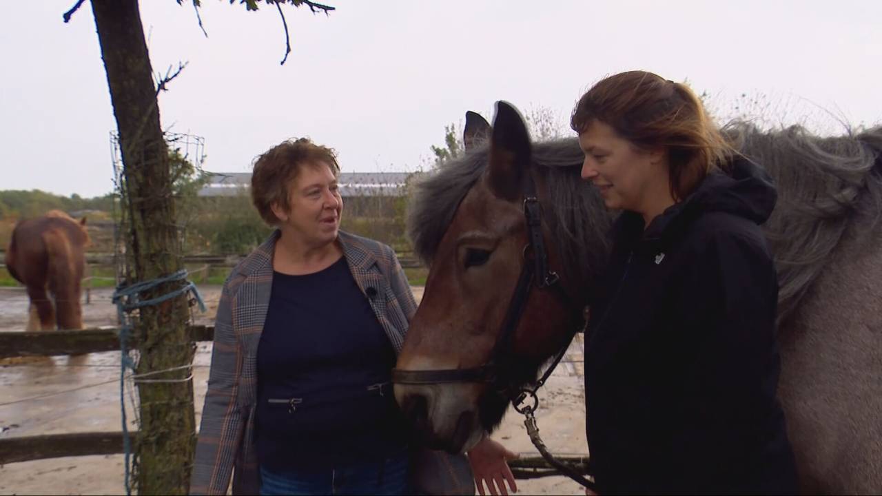 Dit paard hielp Sandra van het roken af: 'Hij kijkt voorbij de sigaret'