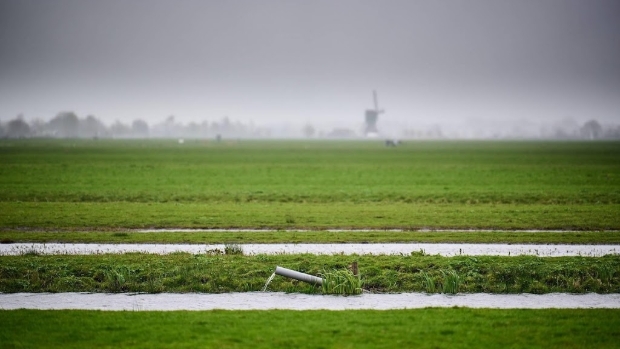 Twijfels in Zuid-Holland over halen van doelen landelijk gebied