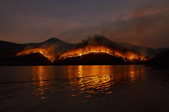 8/3: CBS Evening News