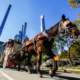 New York City wil na ruim 160 jaar paardenkoetsen uit de stad weren