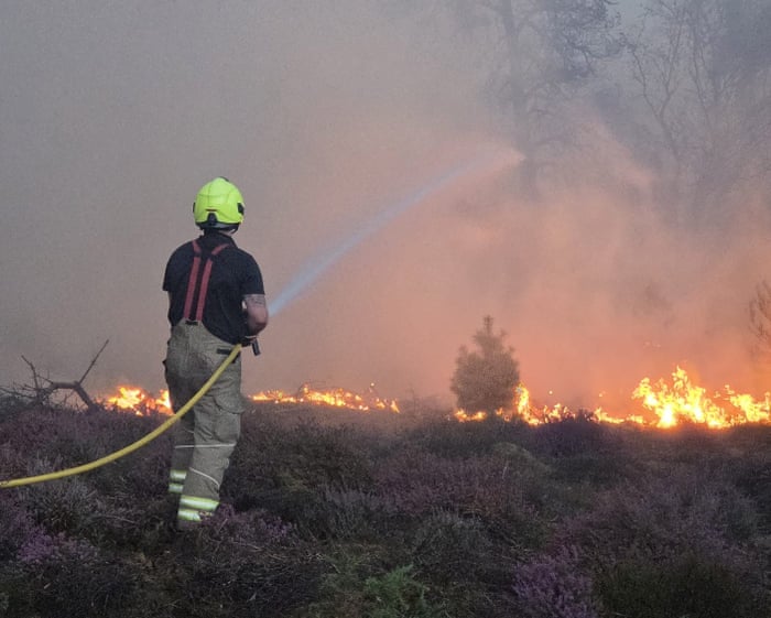 Major incident declared in Suffolk as 90 firefighters tackle wildfire on heathland