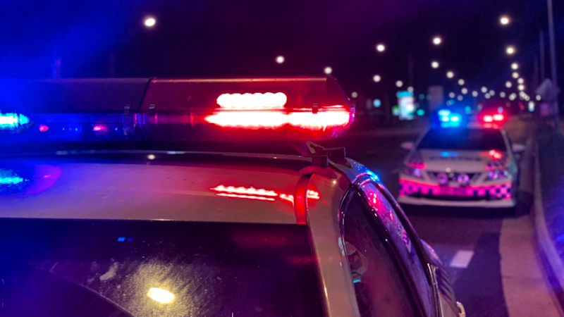 Group of five armed with gun, baseball bats invade inner-west home