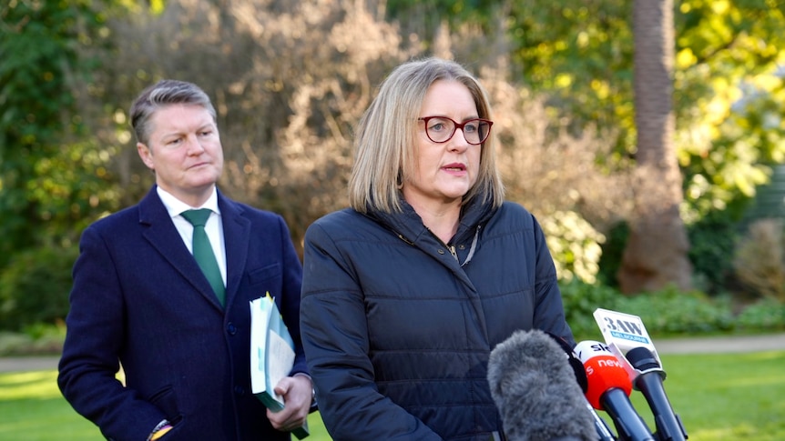 How Victorian Labor's leadership challenge could play out