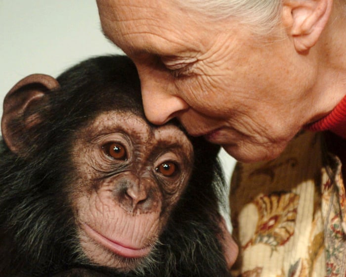 Jane Goodall, world-renowned primatologist, dies aged 91