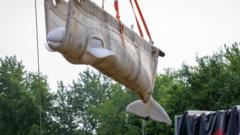 Watch: Beluga whales from closed Canadian marine park rehomed in US
