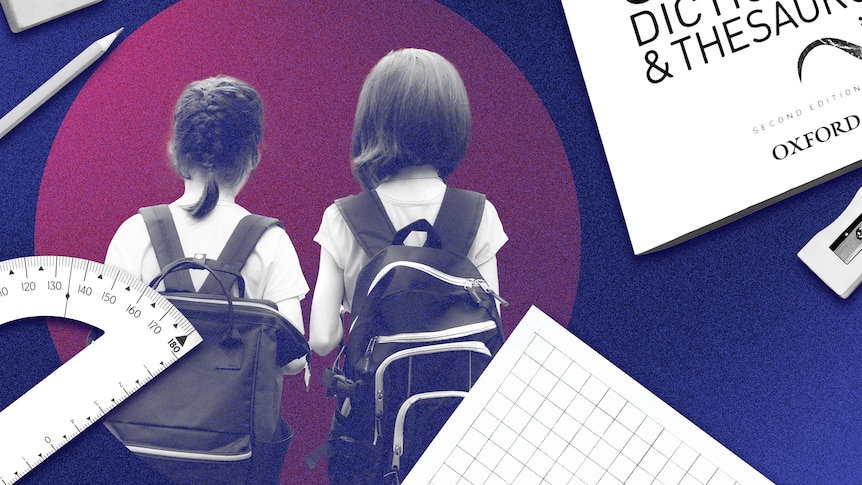 NAPLAN results are out. Here's what they mean