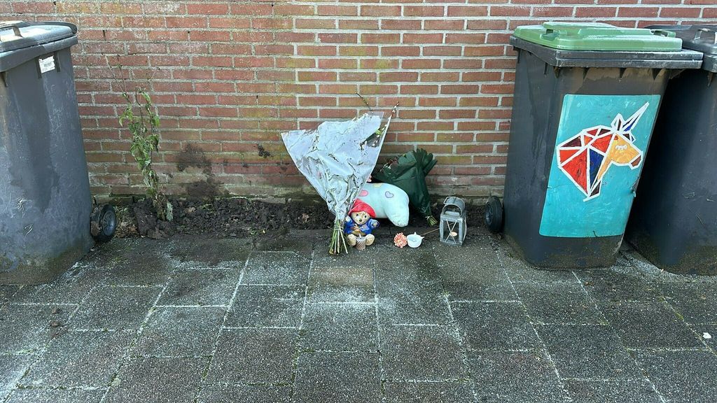 Inspecties: zorg aan verwarde mensen schiet tekort, meer bemoeizorg nodig