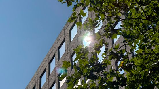 Code geel door tropische hitte