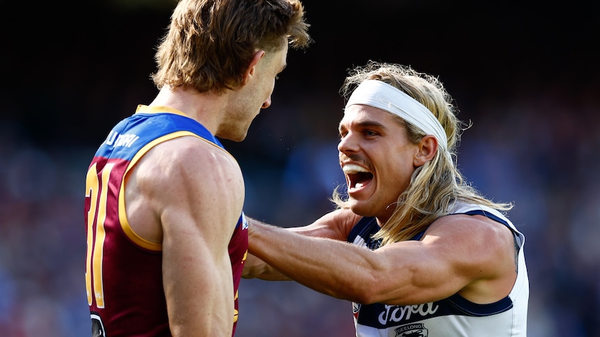 Live: Lions welcome Cats to the Gabba for grand final rematch