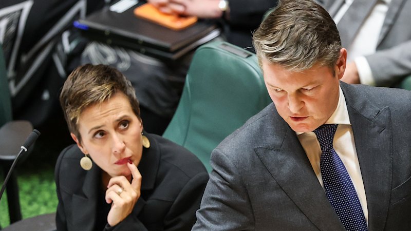 Premier Ben Carroll appoints AI minister, scraps infrastructure portfolios in new-look cabinet