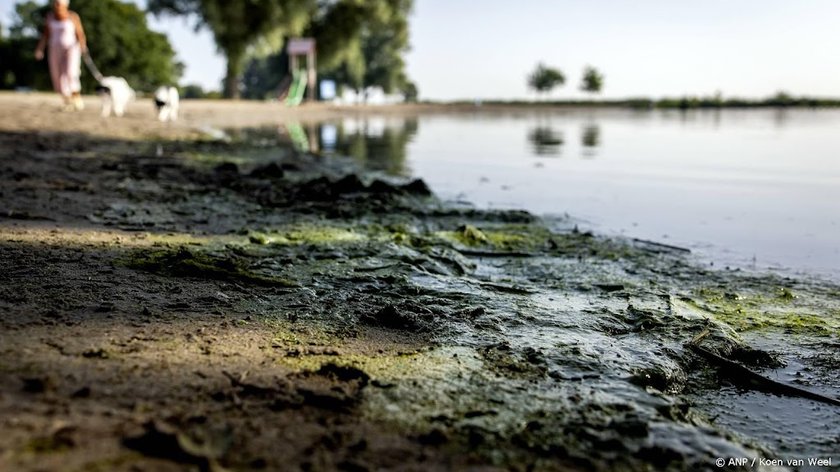 Rioolwater in buitenwater: niet zwemmen in deel Noord-Holland
