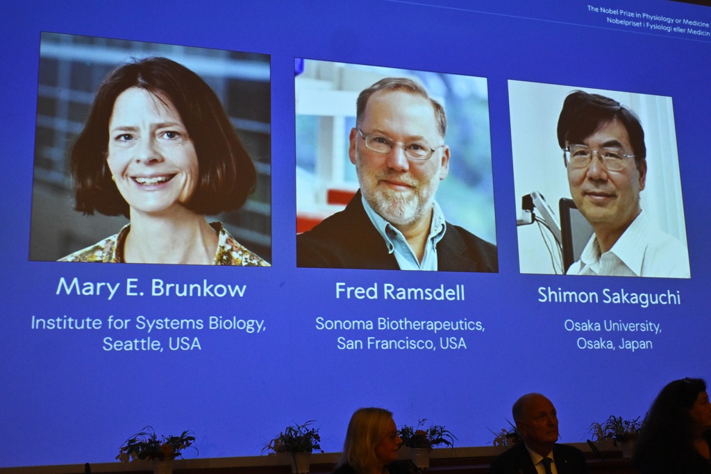 The medicine Nobel Prize goes to 3 scientists for work on peripheral immune tolerance