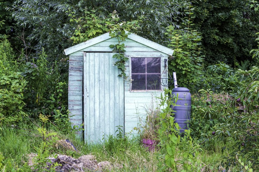 Welke lessen trekken lezers uit de droogte? ‘Bidden om regen lijkt haast hypocriet’