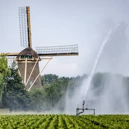 Watersysteem lijdt onder aanhoudende droogte: tekort van 25 emmers per vierkante meter