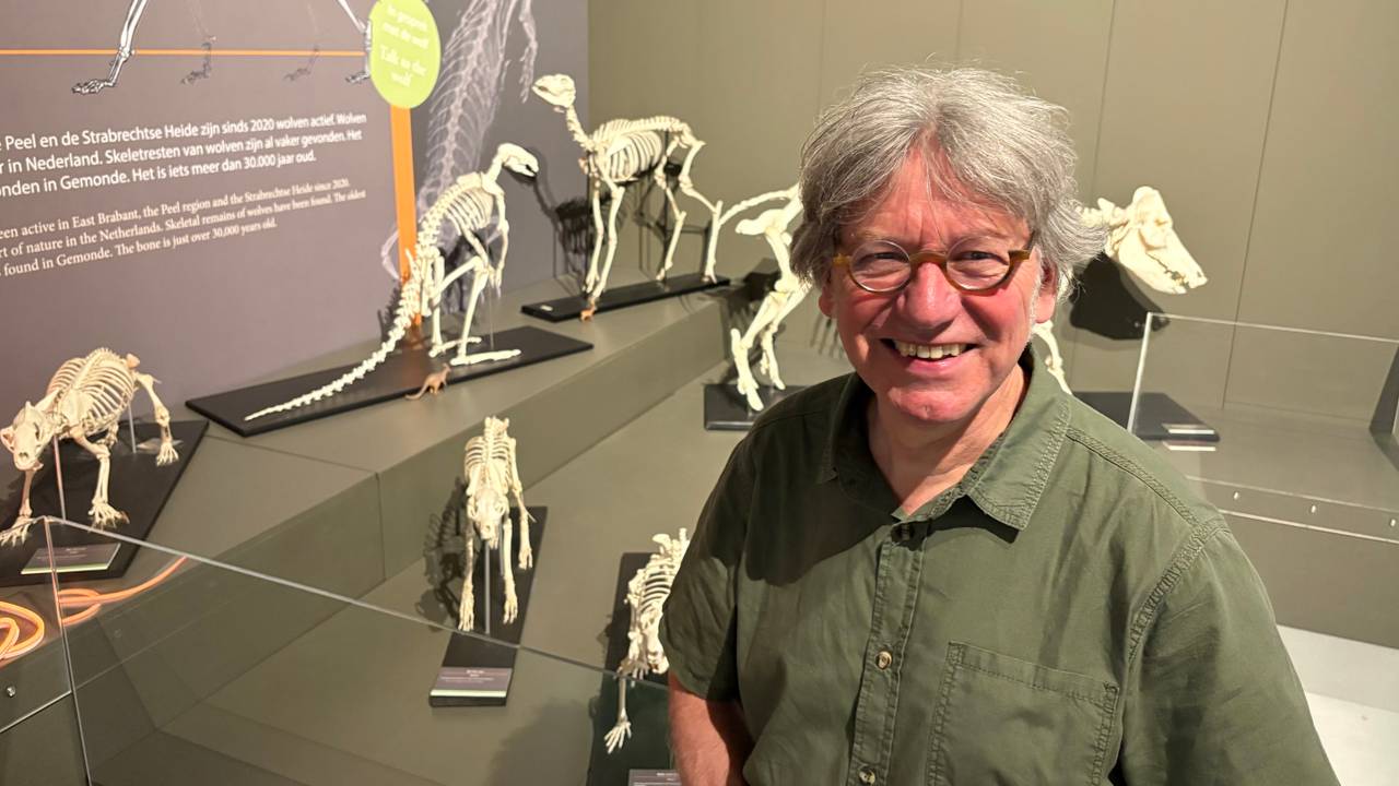 Theo bouwt al jaren skeletten, ze zijn nu te zien in het museum
