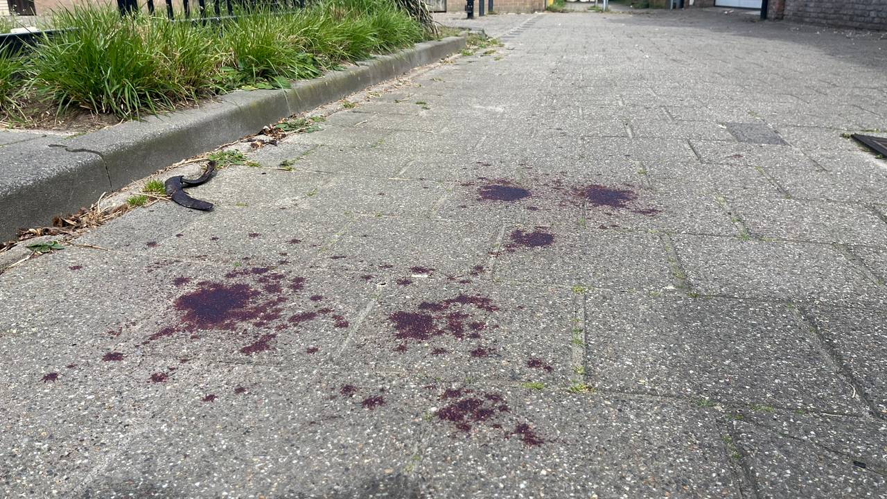 Gewonde man in bus is 18-jarige, was ergens anders in Eindhoven gestoken