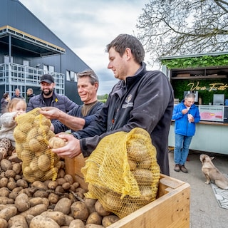 Een patatje oorlog voor de goede zaak: boeren proberen aardappelberg van 500 miljoen kilo weg te werken