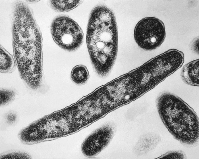 Legionnaires’ outbreak rocks New York as experts warn of rising climate threat