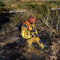 Uitbreidende duinbrand in Ouddorp, brandweerman gewond geraakt