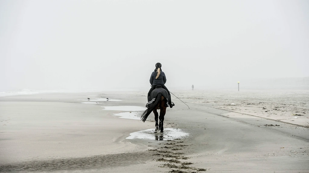 Nederland heeft een nieuw Nationaal Park: Hollandse Duinen