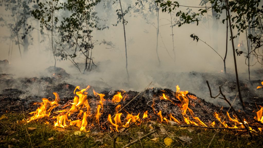 Limburgse natuurbrand flink uitgebreid: tot nu toe 100 hectare getroffen