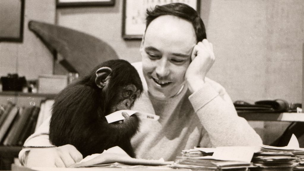 Zoöloog Desmond Morris (De Naakte Aap) overleden op 98-jarige leeftijd