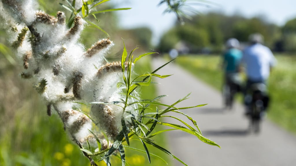 Hooikoortspatiënten opgelet: deze voedingsmiddelen kun je beter mijden