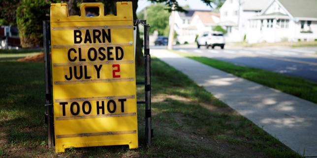 US gripped by extreme heatwave, disrupting 250th anniversary and World Cup celebrations