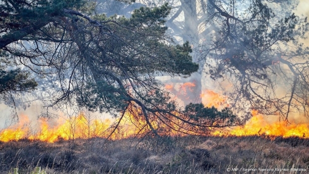 Meer regio's naar hoogste waarschuwingsniveau voor natuurbranden