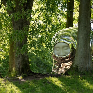 Dansen, luisteren en een kunstwerk opblazen: Synergy Art Festival in het Flevopark wil divers publiek bereiken