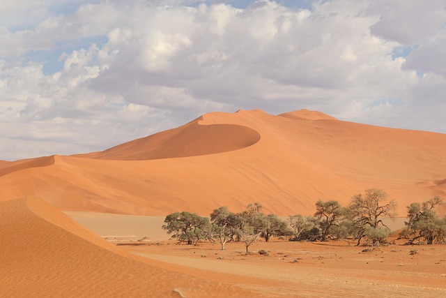 Namibia: DNA Confirms Identity of Man Whose Skeletal Remains Were Found At Otjomuise