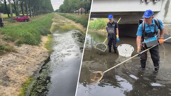 De visambulance heeft het druk: 'Het is keuzes maken'