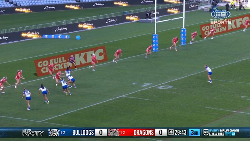 Dogs star barges over