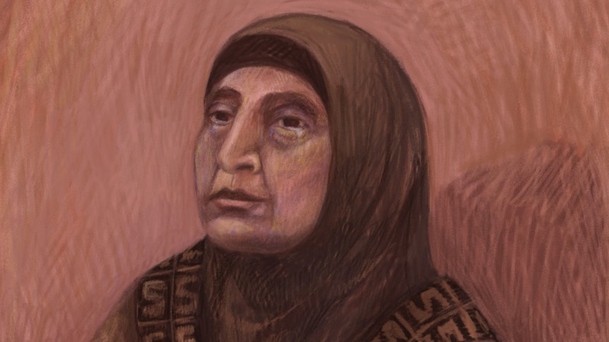 'ISIS bride' charged with slavery offences is granted bail