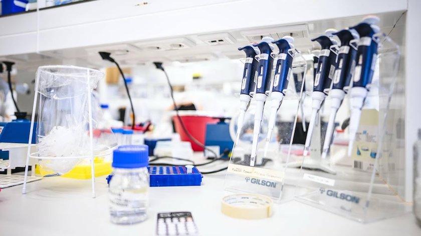 ‘Nederlandse Nobelprijs’ voor onderzoekers Overkleeft en Roelofs