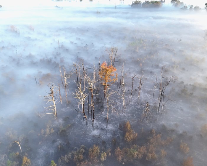 France and Spain race to control wildfires as fresh heatwave hits, as UN warns ‘the climate alarm is blaring’ – Europe live