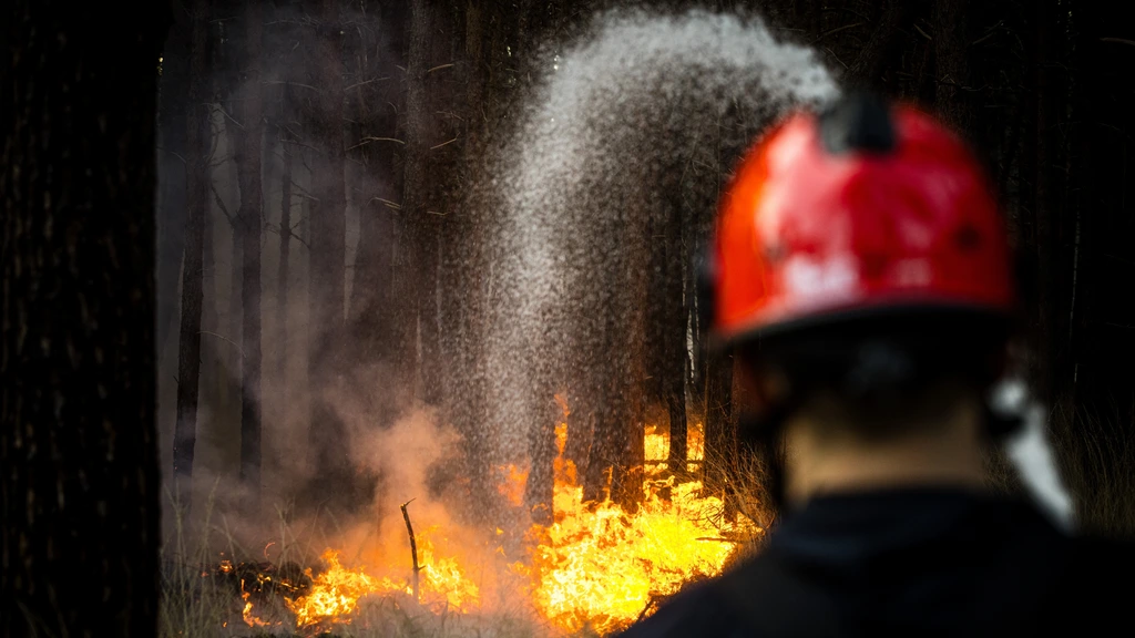 Brandweer waarschuwt voor meer natuurbranden vanwege aanhoudende droogte