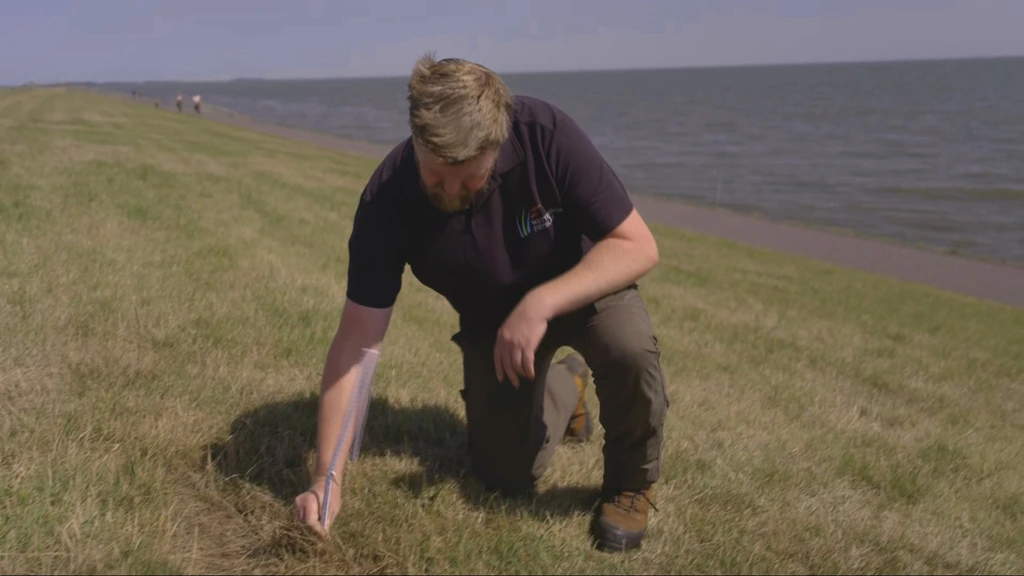 Droogte leidt tot zorgen over dijken en grondwaterpeil op Terschelling