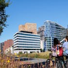 Advocatenkantoren zien deel van hun werk rap verdwijnen door AI