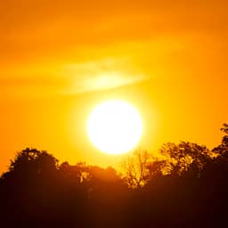 Klimaatverandering bedreigt bouw, landbouw en gezondheidszorg