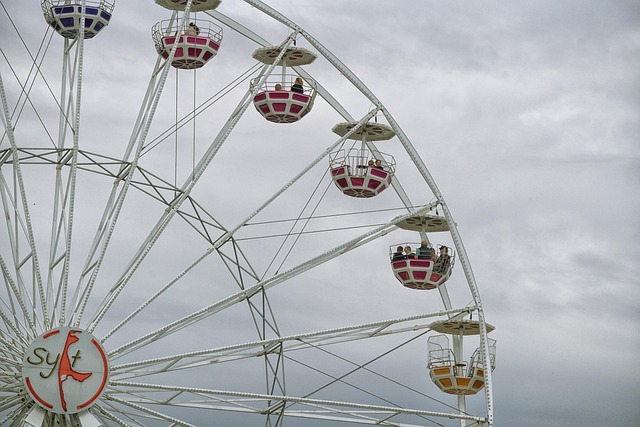 Saudi Arabia to invest €6B in massive French theme park site