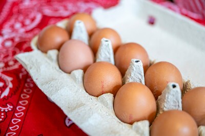 Net voor Pasen recordprijs voor eieren: in vijf jaar 38 procent duurder