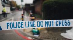 Murder arrests after teen dies in Luton stabbing