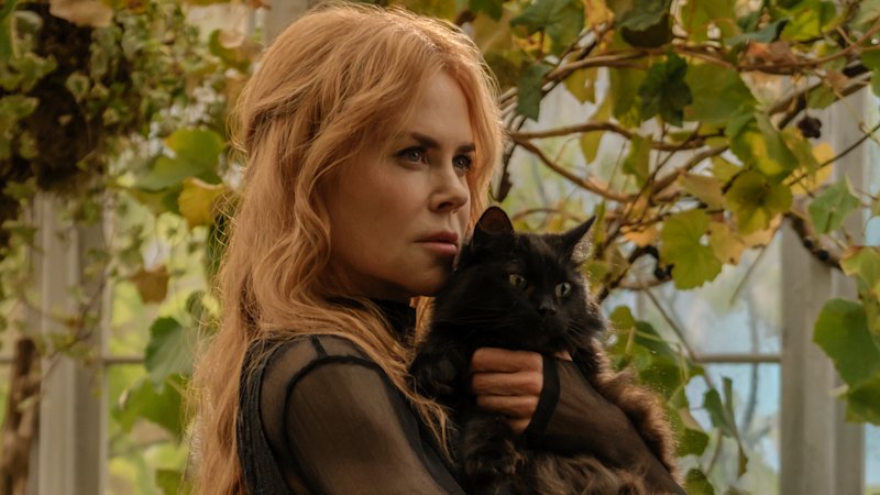 Crash to classic: how Practical Magic’s box office hex marked the spot