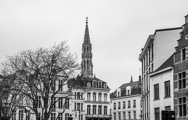 Lille wins race to host EU customs cops