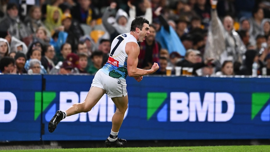 Live: Mannagh's heavenly night leads Cats to statement win over Lions